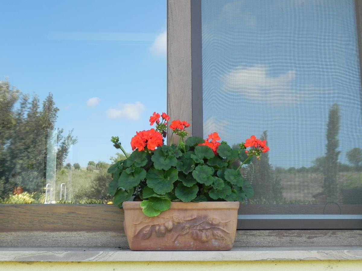 B&B Monte Di Bu Bagno Roselle ภายนอก รูปภาพ