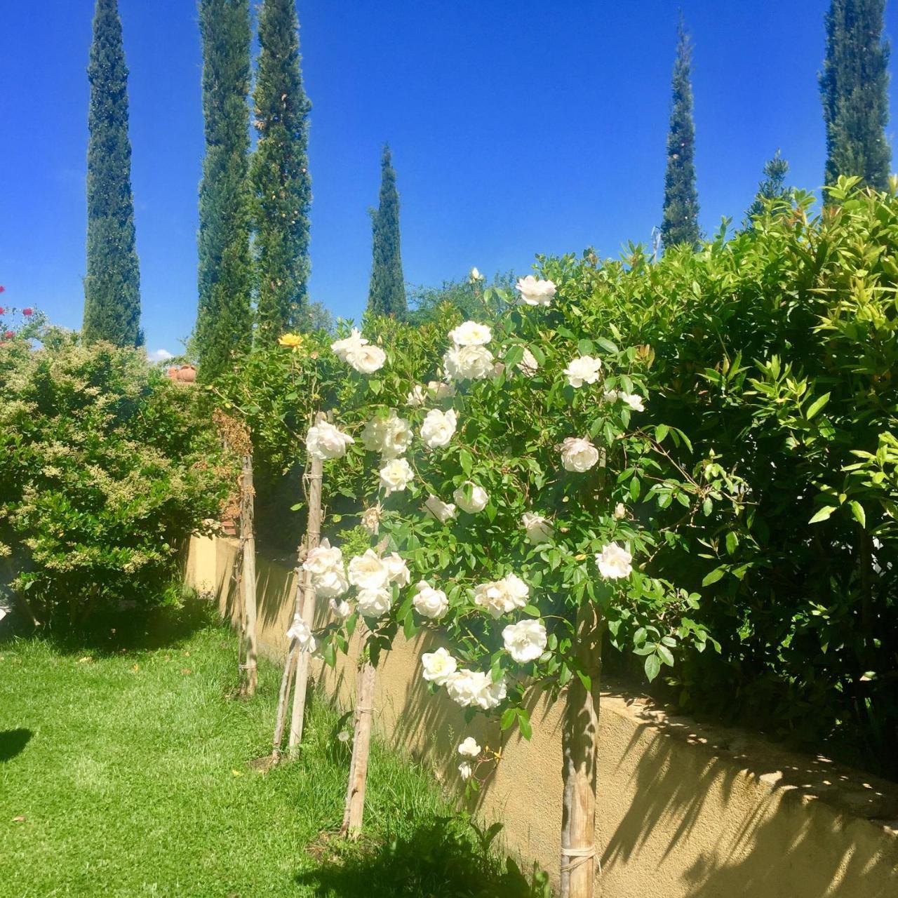 B&B Monte Di Bu Bagno Roselle ภายนอก รูปภาพ