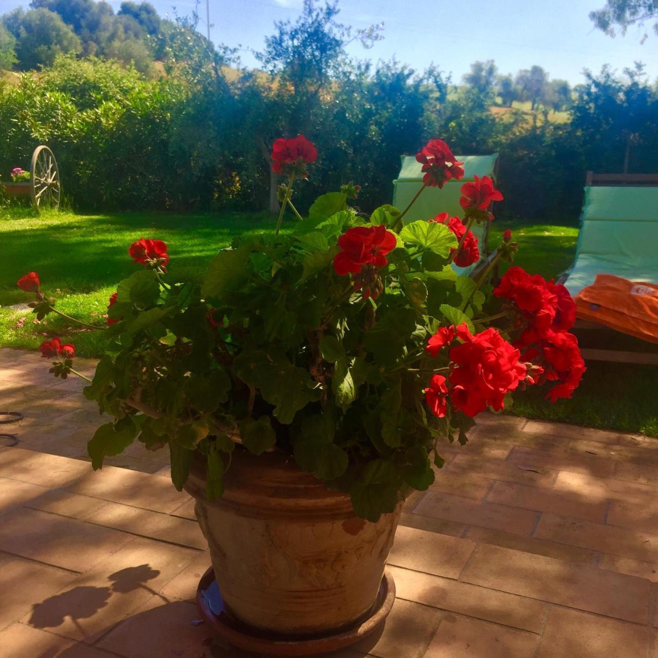 B&B Monte Di Bu Bagno Roselle ภายนอก รูปภาพ