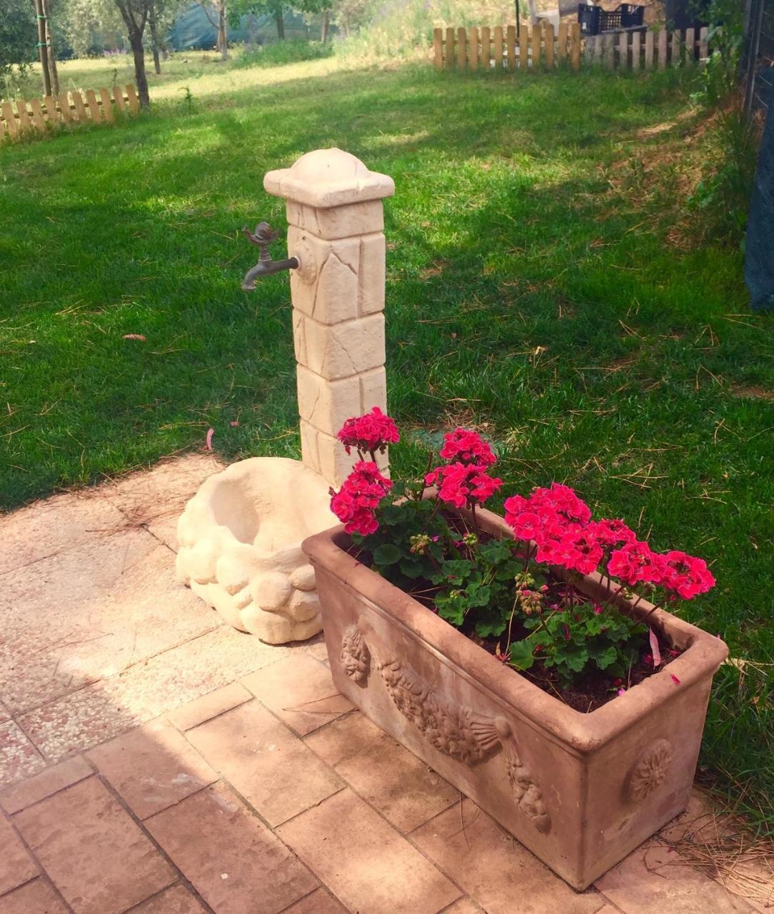 B&B Monte Di Bu Bagno Roselle ภายนอก รูปภาพ