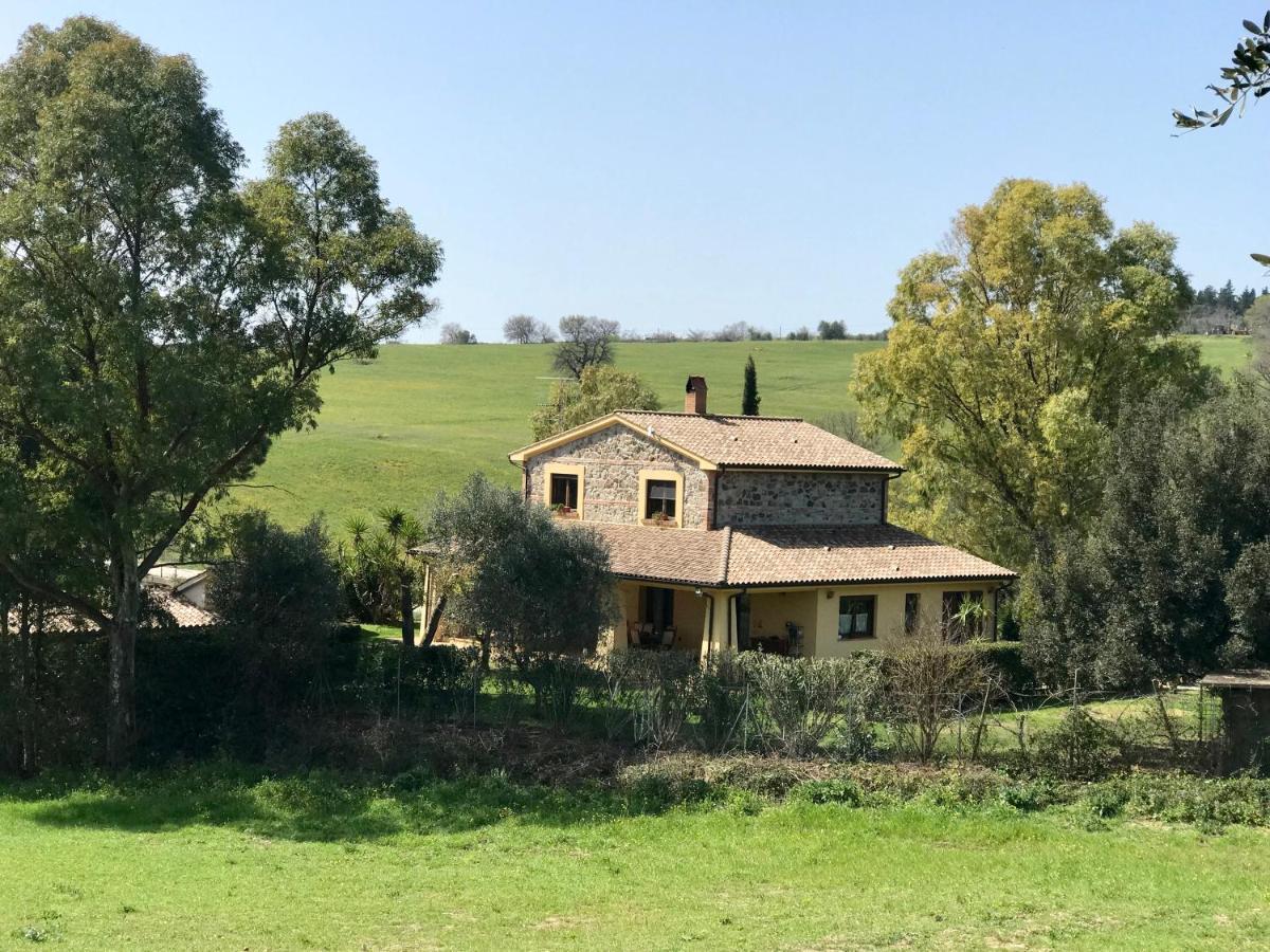 B&B Monte Di Bu Bagno Roselle ภายนอก รูปภาพ